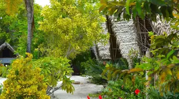 NEW JAMBO BUNGALOWS