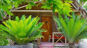 NEW JAMBO BUNGALOWS