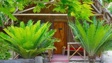 New Jambo Bungalows