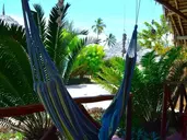 NEW JAMBO BUNGALOWS
