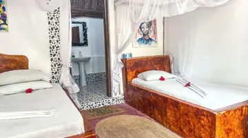 New Jambo Bungalows