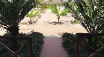 NEW JAMBO BUNGALOWS