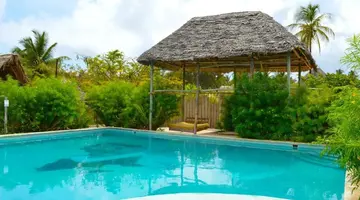 New Jambo Bungalows