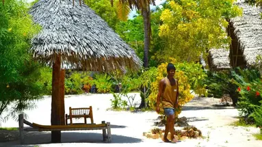 NEW JAMBO BUNGALOWS