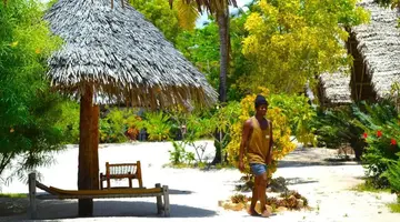 NEW JAMBO BUNGALOWS