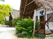 New Jambo Bungalows
