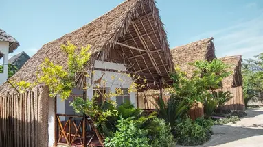 New Jambo Bungalows
