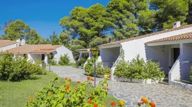 Nicolaus Club Li Cucutti
