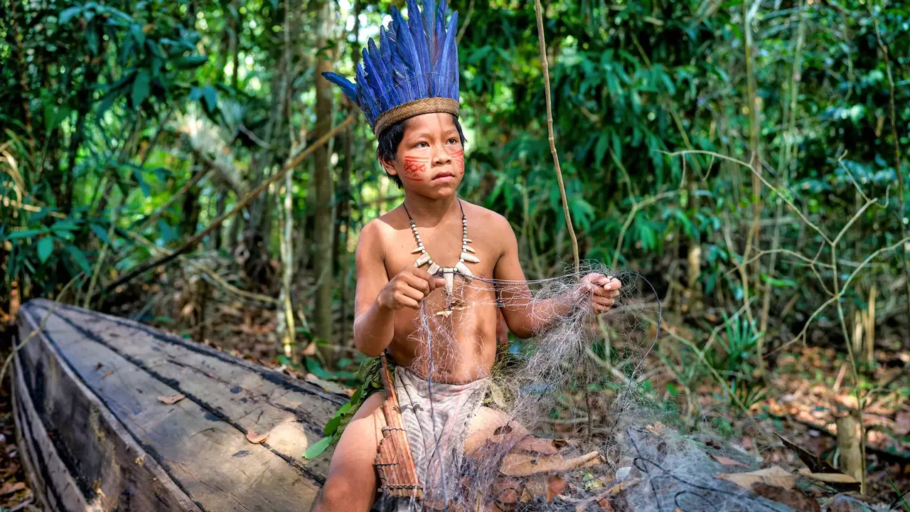 Nieokiełznana przyroda - Manaus, Iguacu