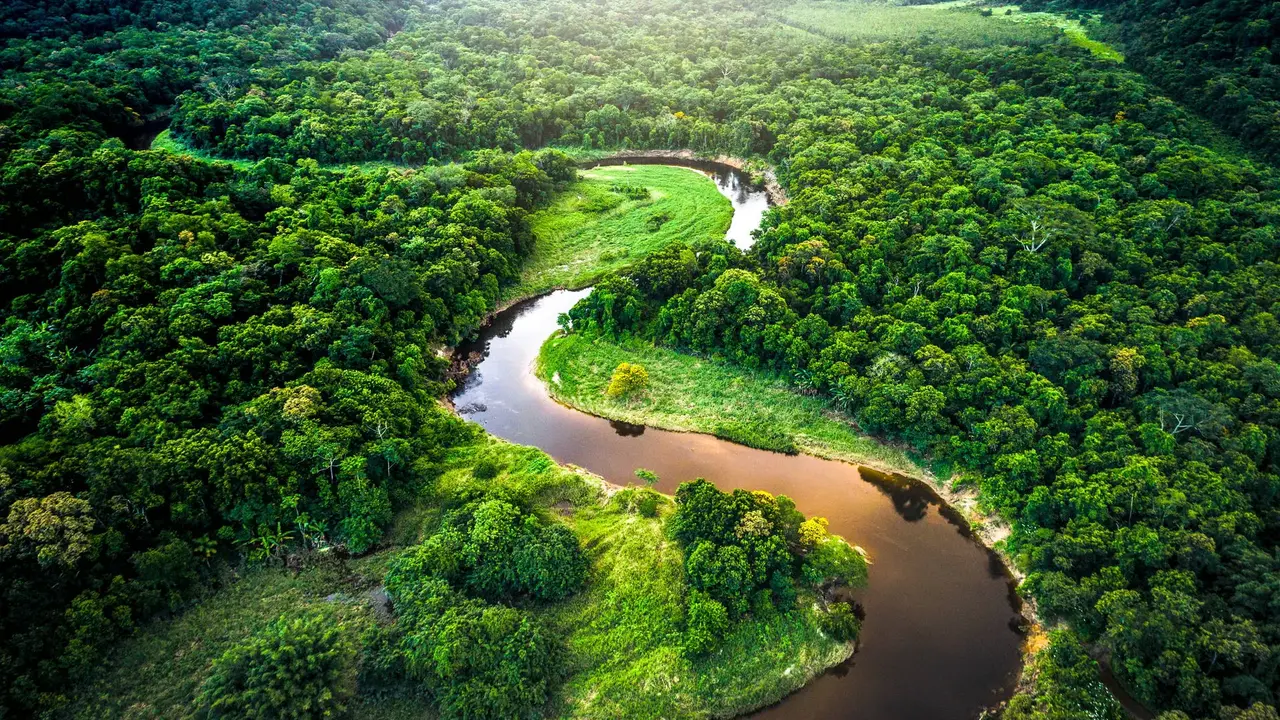 Nieokiełznana przyroda - Manaus, Iguacu