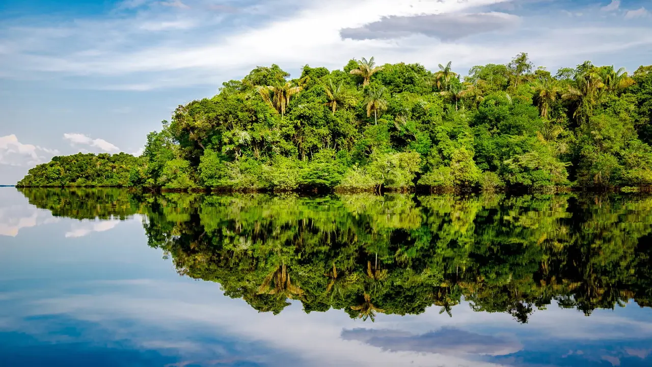 Nieokiełznana przyroda - Manaus, Iguacu