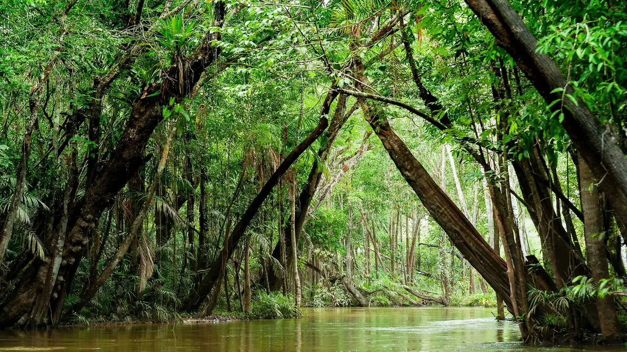 Nieokiełznana przyroda - Manaus, Iguacu