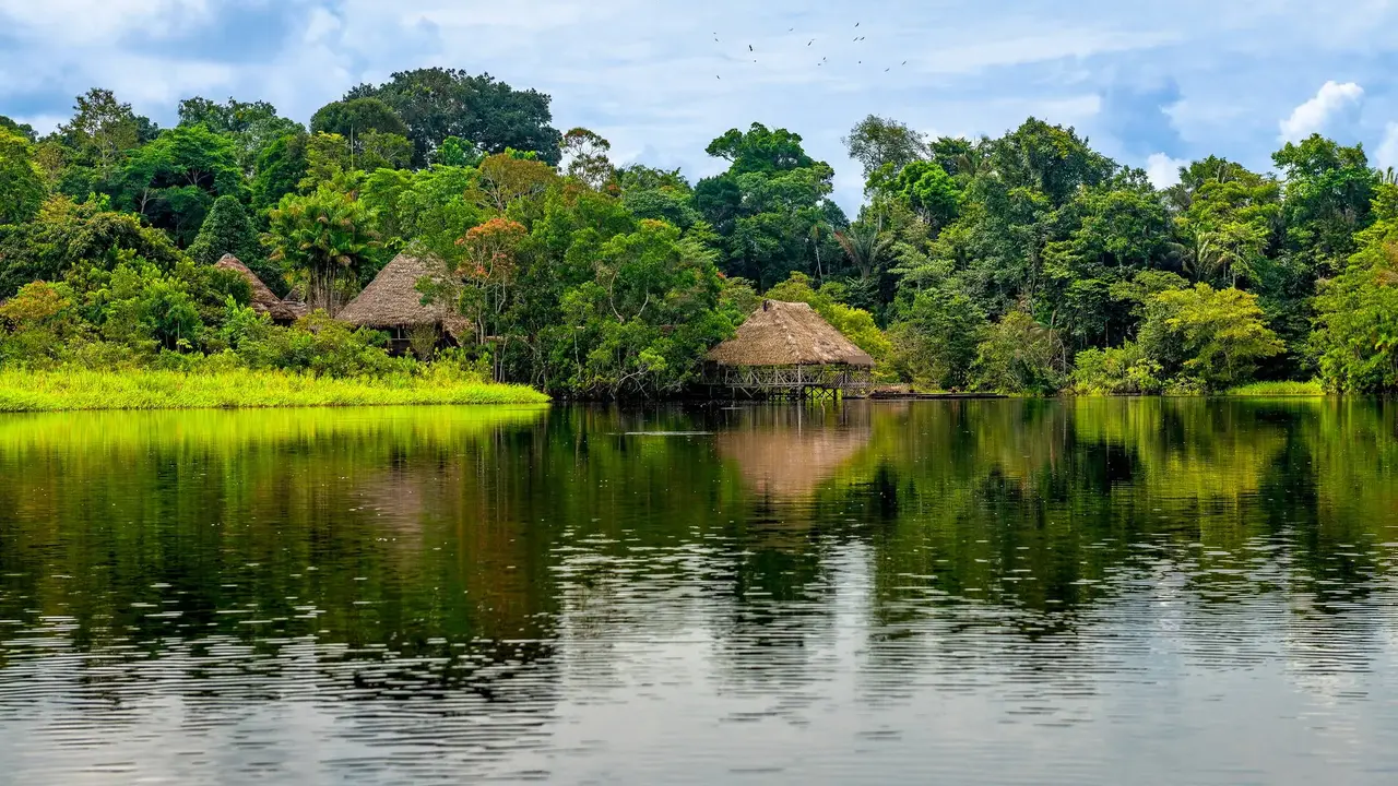 Nieokiełznana przyroda - Manaus, Iguacu