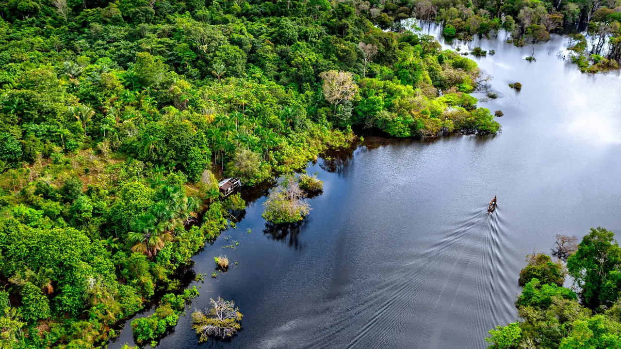Nieokiełznana przyroda - Manaus, Iguacu