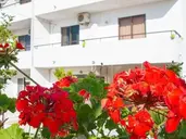 Nikos BNB