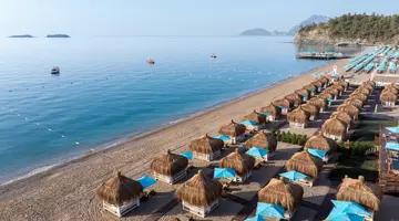 NIRVANA DOLCE VITA