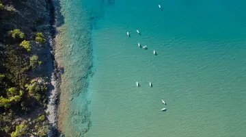NIRVANA DOLCE VITA