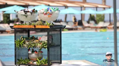 NIRVANA MEDITERRANEAN EXCELLENCE