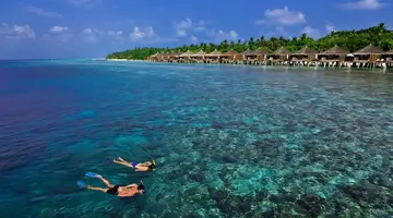 Niva Kuramathi Maldives