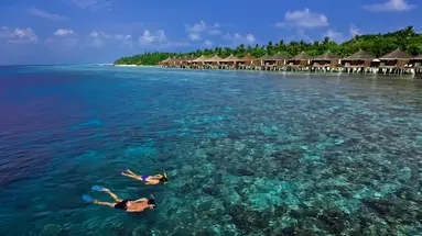 Niva Kuramathi Maldives