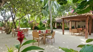 Niva Kuramathi Maldives