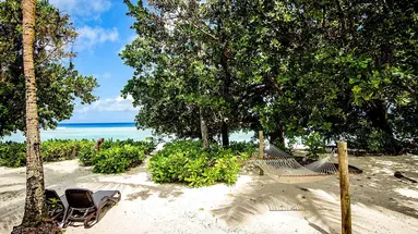 Niva Labriz Seychelles