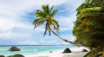 NIVA LABRIZ SEYCHELLES