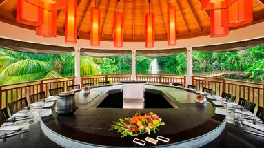 Niva Labriz Seychelles