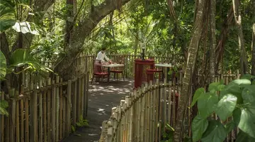 Niyama Private Islands Maldives 5