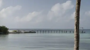 Nizuc Resort & Spa