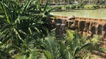 Noah s Ark Deluxe Hotel & Spa