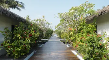 NOKU MALDIVES, VIGNETTE COLLECTION