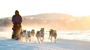 Northern Lights Village Levi