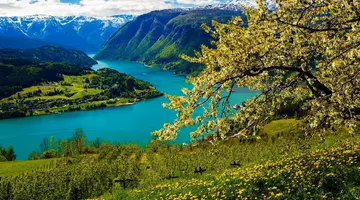 Norwegia - Skarby Norwegii