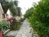 NOVA BEACH HOTEL