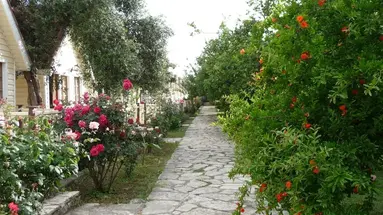 NOVA BEACH HOTEL