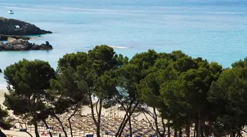 Novomar Aparthotel