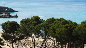 Novomar Aparthotel