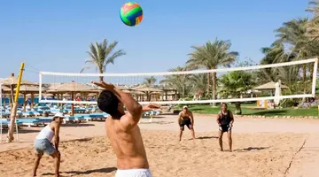 NOVOTEL PALM