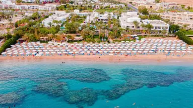 NOVOTEL PALM