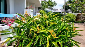 Novotel Rayong