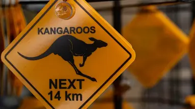 Nowa Zelandia, Australia - Po drugiej stronie Ziemi 2025