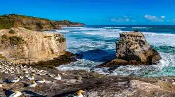Nowa Zelandia, Australia - Po drugiej stronie Ziemi 2025