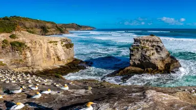 Nowa Zelandia, Australia - Po drugiej stronie Ziemi 2025