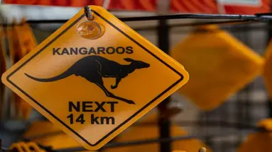 Nowa Zelandia, Australia - Po drugiej stronie Ziemi 2025