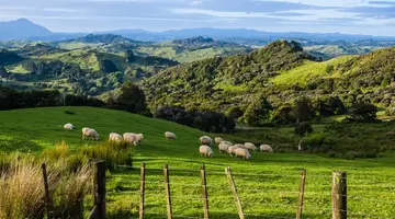 Nowa Zelandia i Australia - 21 dni