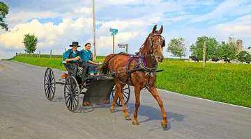 Nowy Jork - Waszyngton - Niagara