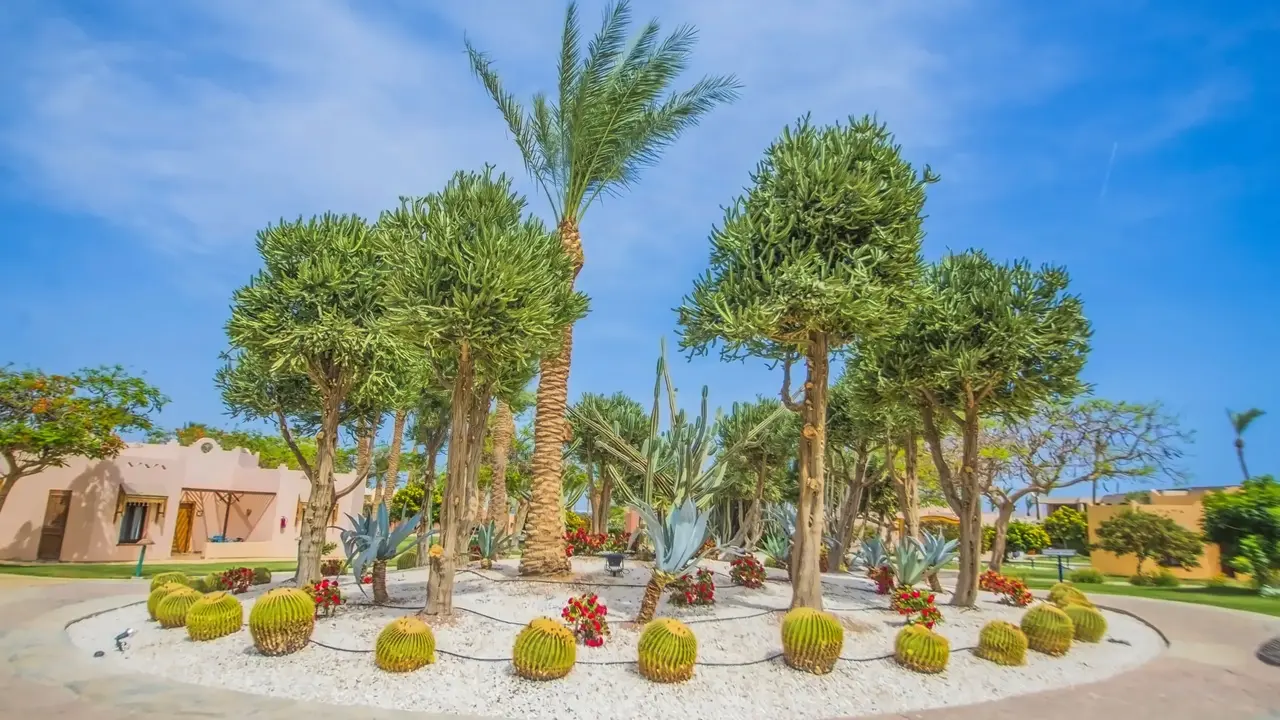 Nubian Village