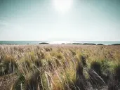 NUMO IERAPETRA BEACH RESORT CRETE, CURIO COLLECTION BY HILTON