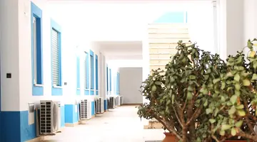 Oasis Beach Apartments